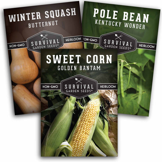 Three Sisters Seed Collection – Heirloom Corn, Pole Beans & Butternut Squash for Companion Planting
