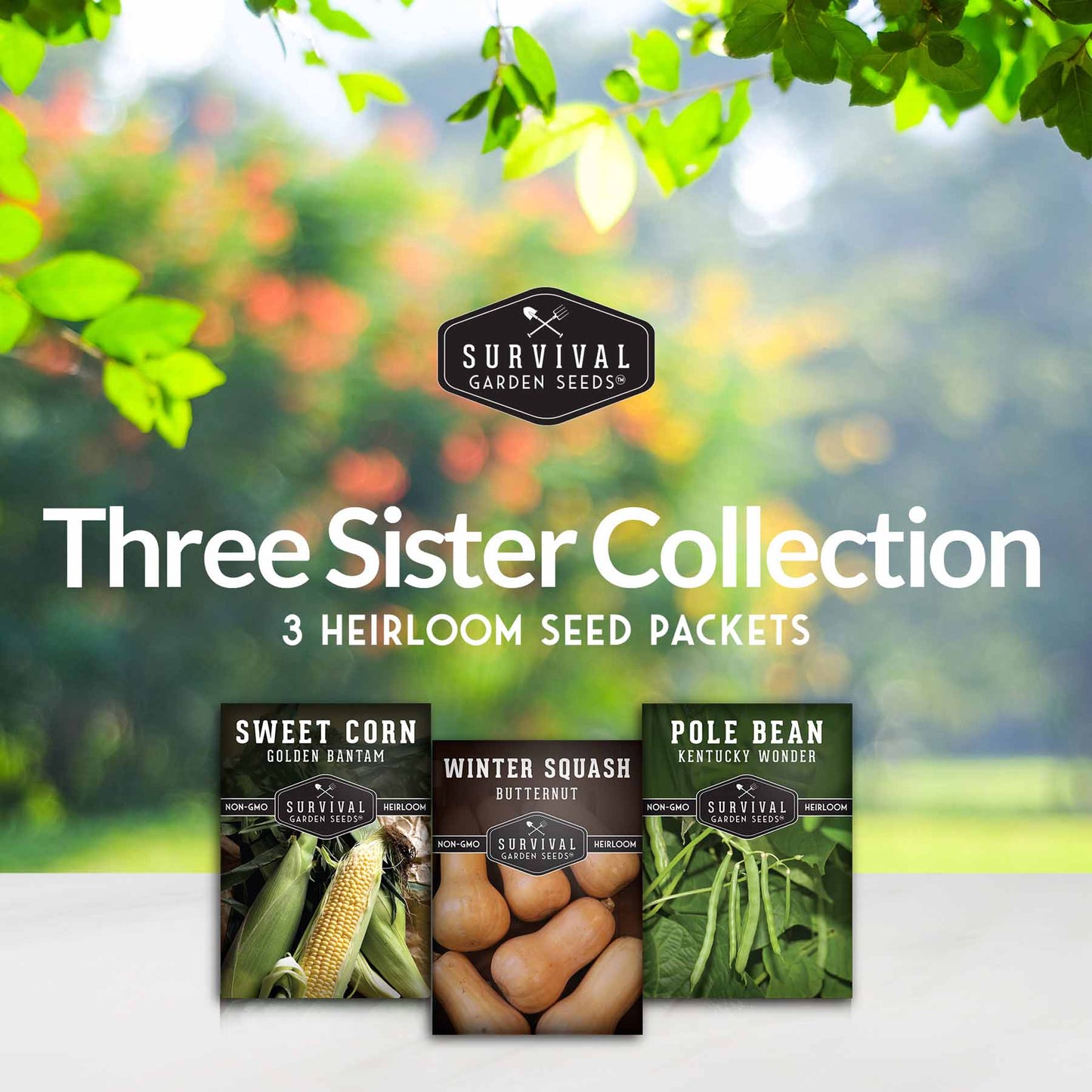 Three Sisters Seed Collection – Heirloom Corn, Pole Beans & Butternut Squash for Companion Planting