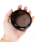 Fully Assembled Tillandsia Air Plant Dish Garden in Black Glazed Container