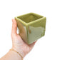 Air Plant Supply Co. Brand Colors Set - Two Ceramic Cube Containers with Tillandsia Xerographica Mini and Juncea