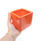 Air Plant Supply Co. Brand Colors Set - Two Ceramic Cube Containers with Tillandsia Xerographica Mini and Juncea
