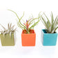 Ceramic Cube Container - Choose Your Color