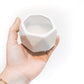 White Geometric Ceramic Container with Custom Premium Tillandsia Air Plant