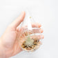 Teardrop Terrarium with Tillandsia Argentea Thin & Riverstones