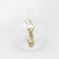 Minimalist Terrarium in a Glass Globe with Flat Bottom - Choose Your Custom Tillandsia Air Plant