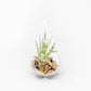 SALE - Set of 3 Airy Teardrop Terrariums with Flat Bottoms