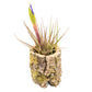 Natural Cork Bark Planters