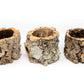 Natural Cork Bark Planters