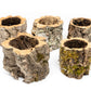 Natural Cork Bark Planters