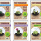 Cacti Tiny Terrariums Bundle - 1 each of 6 Varieties