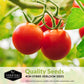 5 Tomato Seed Collection – Assorted Heirloom & Garden Favorites for Fresh Eating, Sauces & Preserving