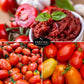 Paste Tomato Seed Collection – Roma & San Marzano Meaty Tomatoes for Sauces, Canning & Preserving