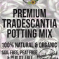 Tradescantia Premium Potting Mix