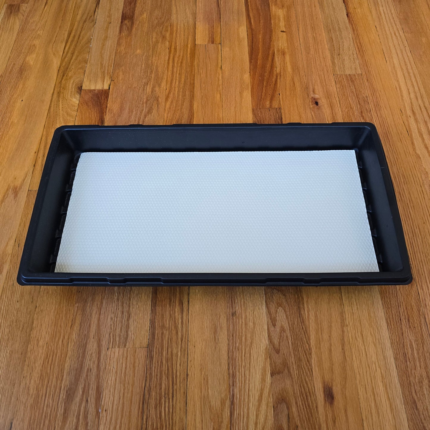 Microgreens Tray (Set of 6)