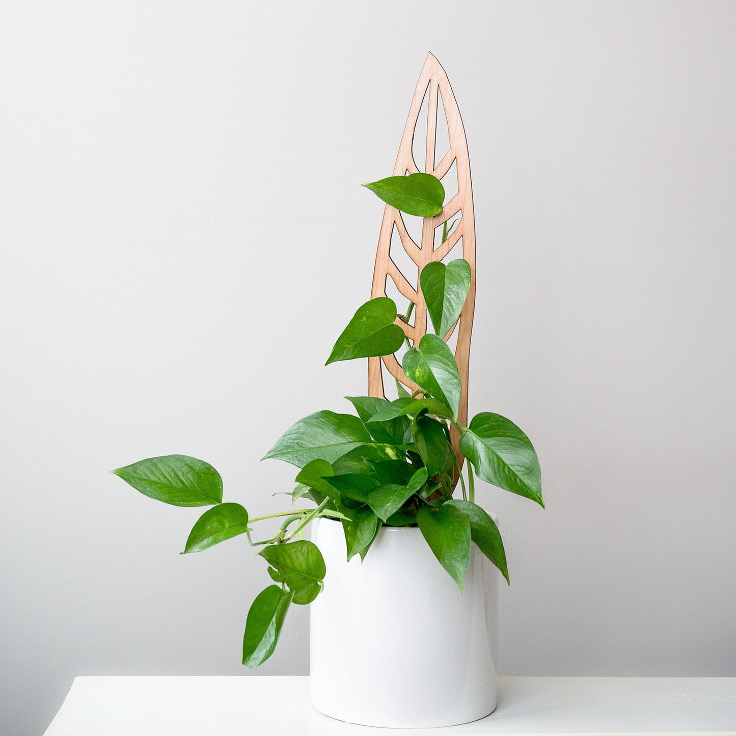 Anthrulla - Plant trellis inspired by the Queen Anthurium