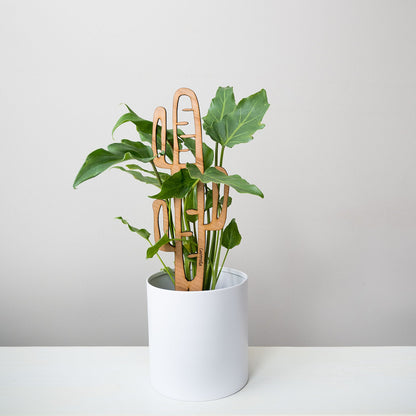 Cactrella - Plant trellis inspired by the Barrel Cactus