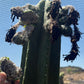 Trichocereus Cactus Seeds Pachanoi, Peruvianus, Bridgesii, Scopulicola, Hybrid seed & others For Sale