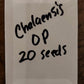 Trichocereus Cactus Seeds Pachanoi, Peruvianus, Bridgesii, Scopulicola, Hybrid seed & others For Sale