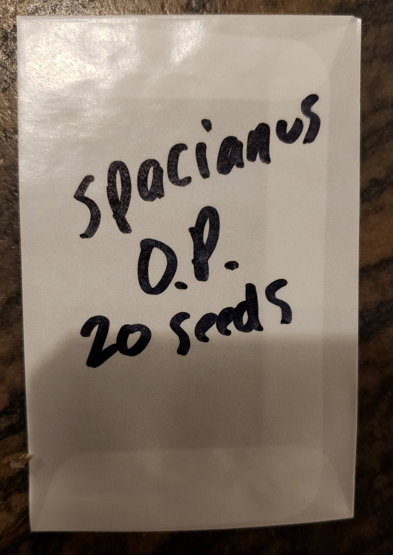 Trichocereus Cactus Seeds Pachanoi, Peruvianus, Bridgesii, Scopulicola, Hybrid seed & others For Sale