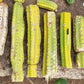 Trichocereus Pachanoi Common San Pedro PC Ornamental Grafting Cactus Cuttings and Potted
