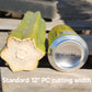 Trichocereus Pachanoi Common San Pedro PC Ornamental Grafting Cactus Cuttings and Potted