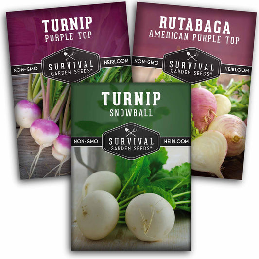 Turnip & Rutabaga Seeds Collection – Heirloom Non-GMO Varieties for Fall & Spring Gardens