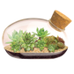 The Succulent Star Mouse Garden Glass Terrarium with Cork