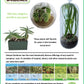 Flytrap Garden Glass Terrarium Seed Starting Kit