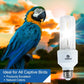 UVA UVB Bird Light Bulb 20W Full Spectrum Compact Lamp for Captive Birds