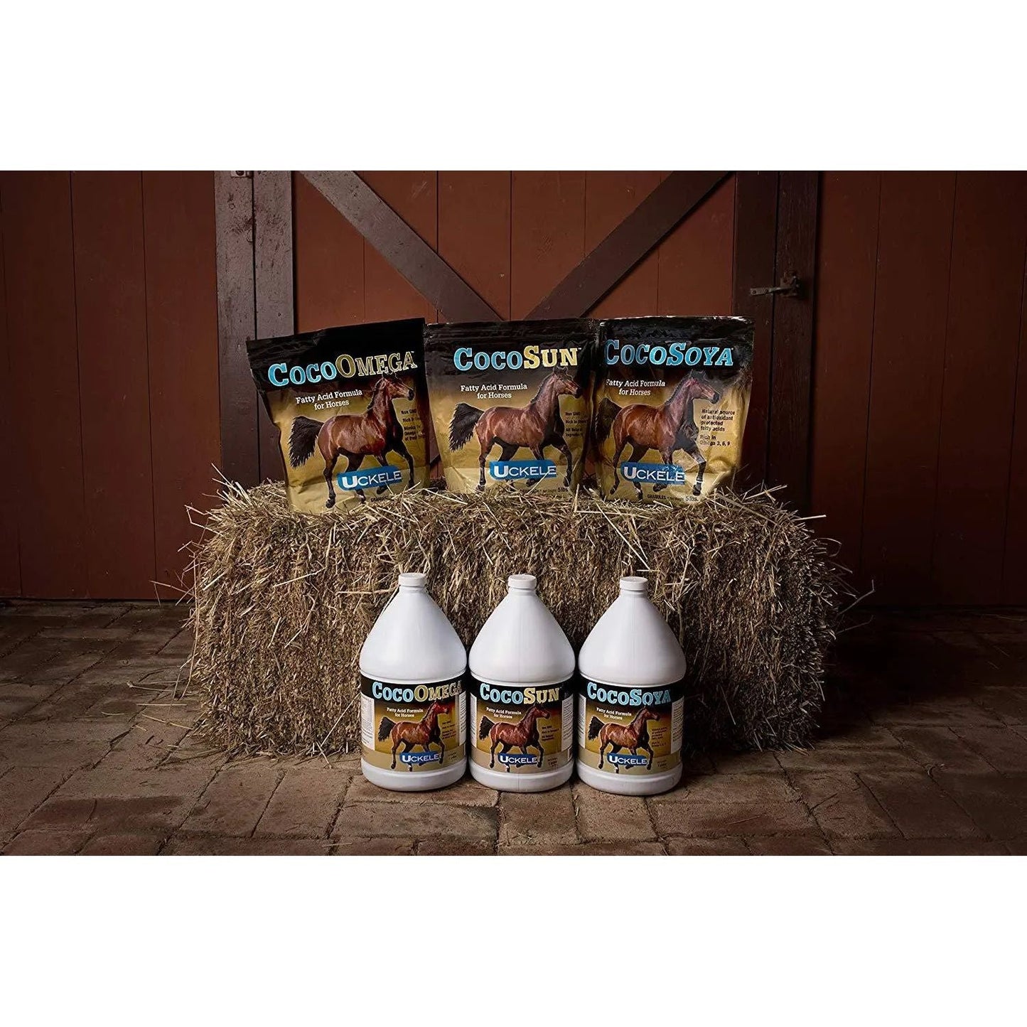 Uckele Cocosoya Oil 1 Gallon Horse Supplement Cool Calories Omega Coat & Hoof