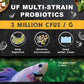 Ultra Fresh Betta Food Pro Shrimp Patties 50% Prawn Natural Protein