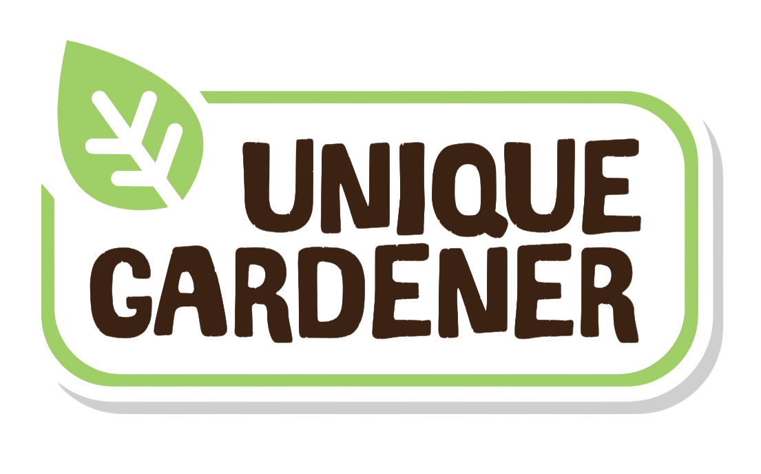 Slicing Cucumbers Sprouter Terrarium