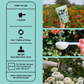 Bloom & Bed - Keep blooms going strong.  Bring your beds back to life. Makes 50 gallons