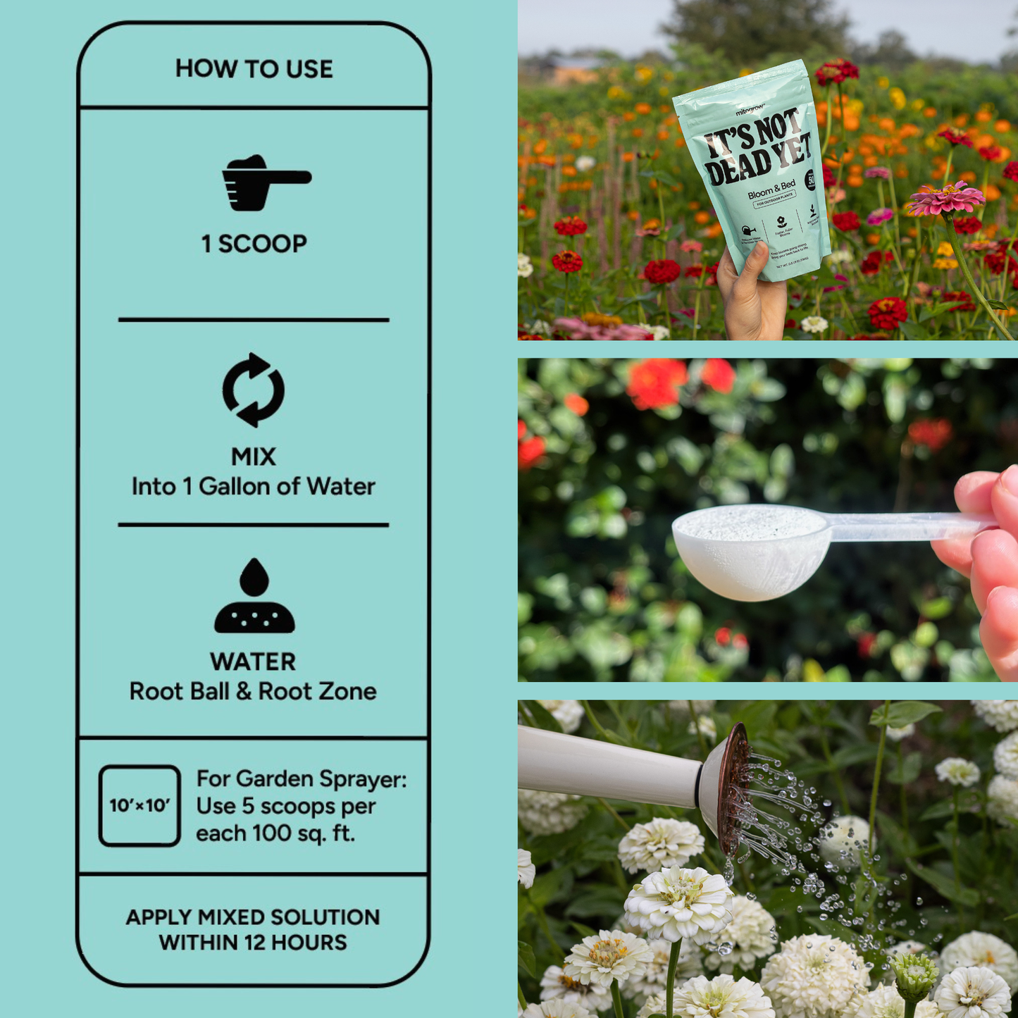 Bloom & Bed - Keep blooms going strong.  Bring your beds back to life. Makes 50 gallons