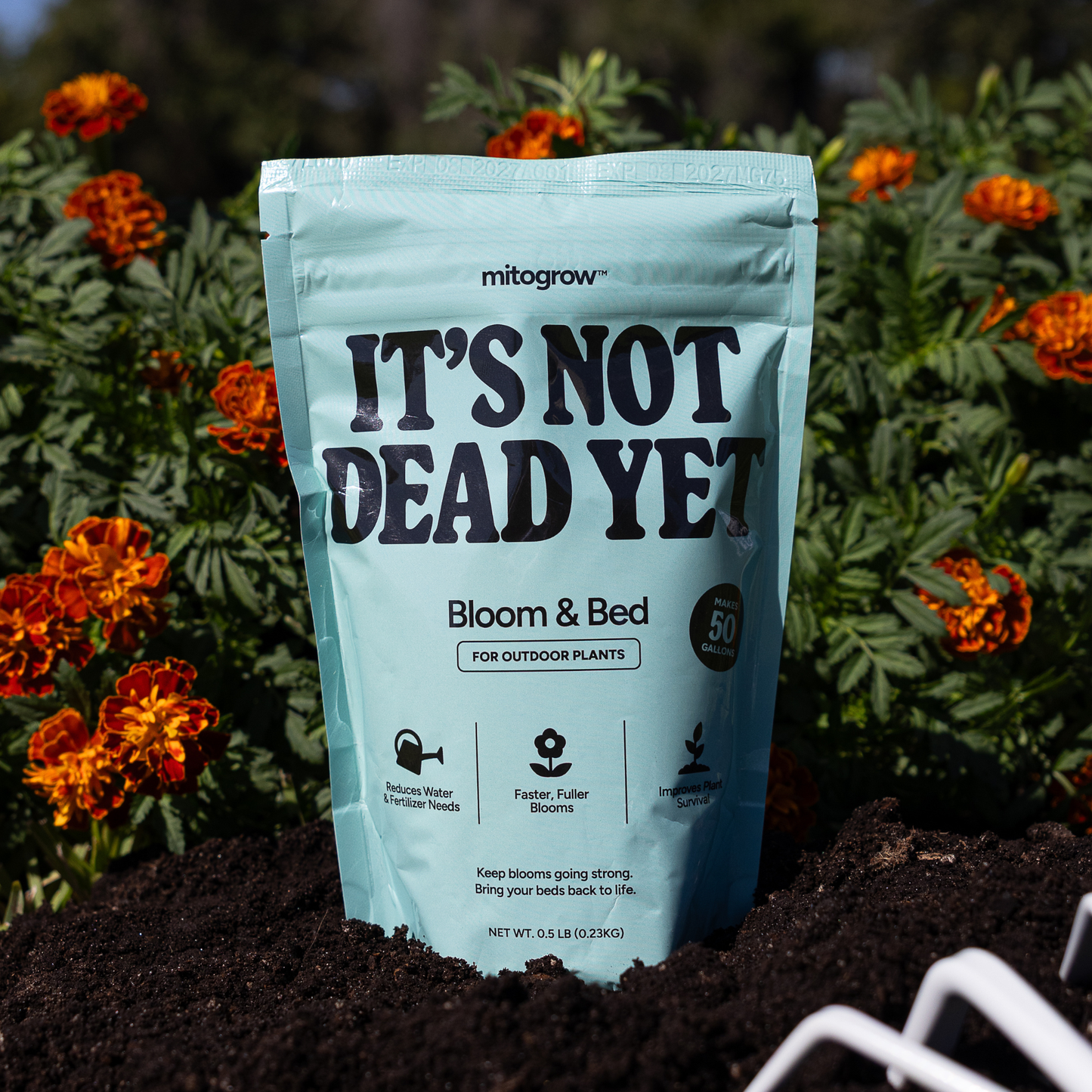 Bloom & Bed - Keep blooms going strong.  Bring your beds back to life. Makes 50 gallons