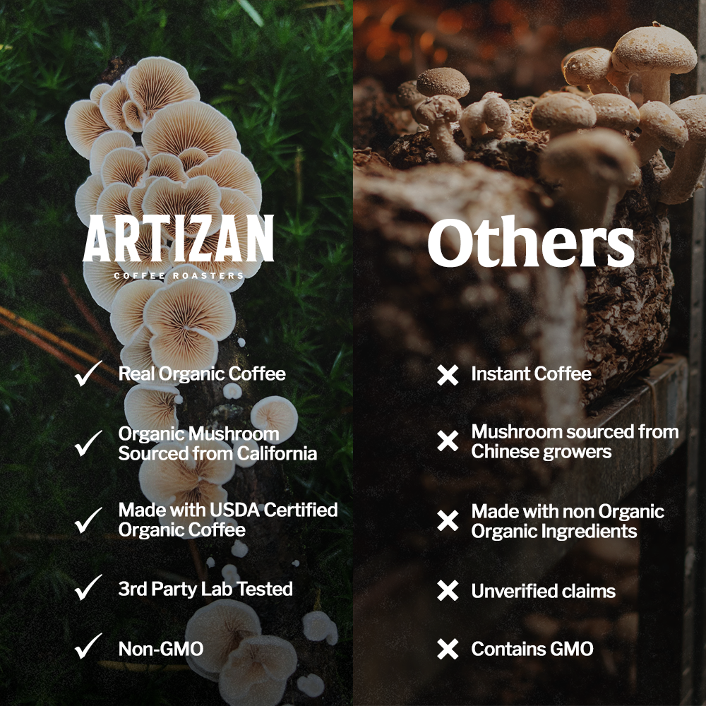 Organic Mushroom Coffee - Espresso