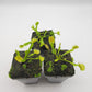 Venus flytrap (Dionaea muscipula) 'Crispy sun'