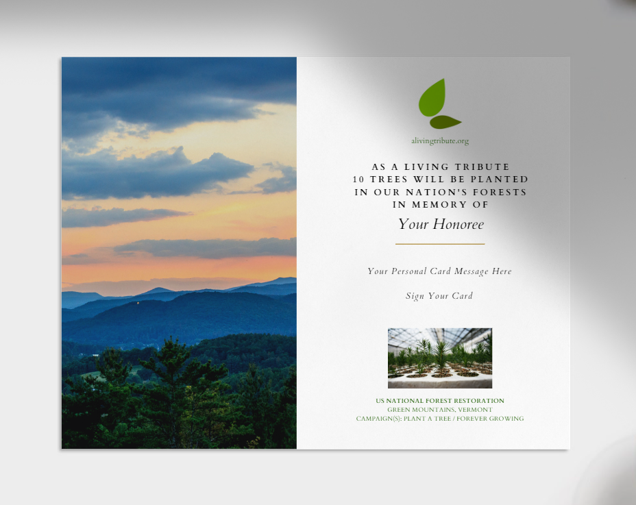 Planta un árbol para alguien en Vermont - Árboles conmemorativos y de homenaje
