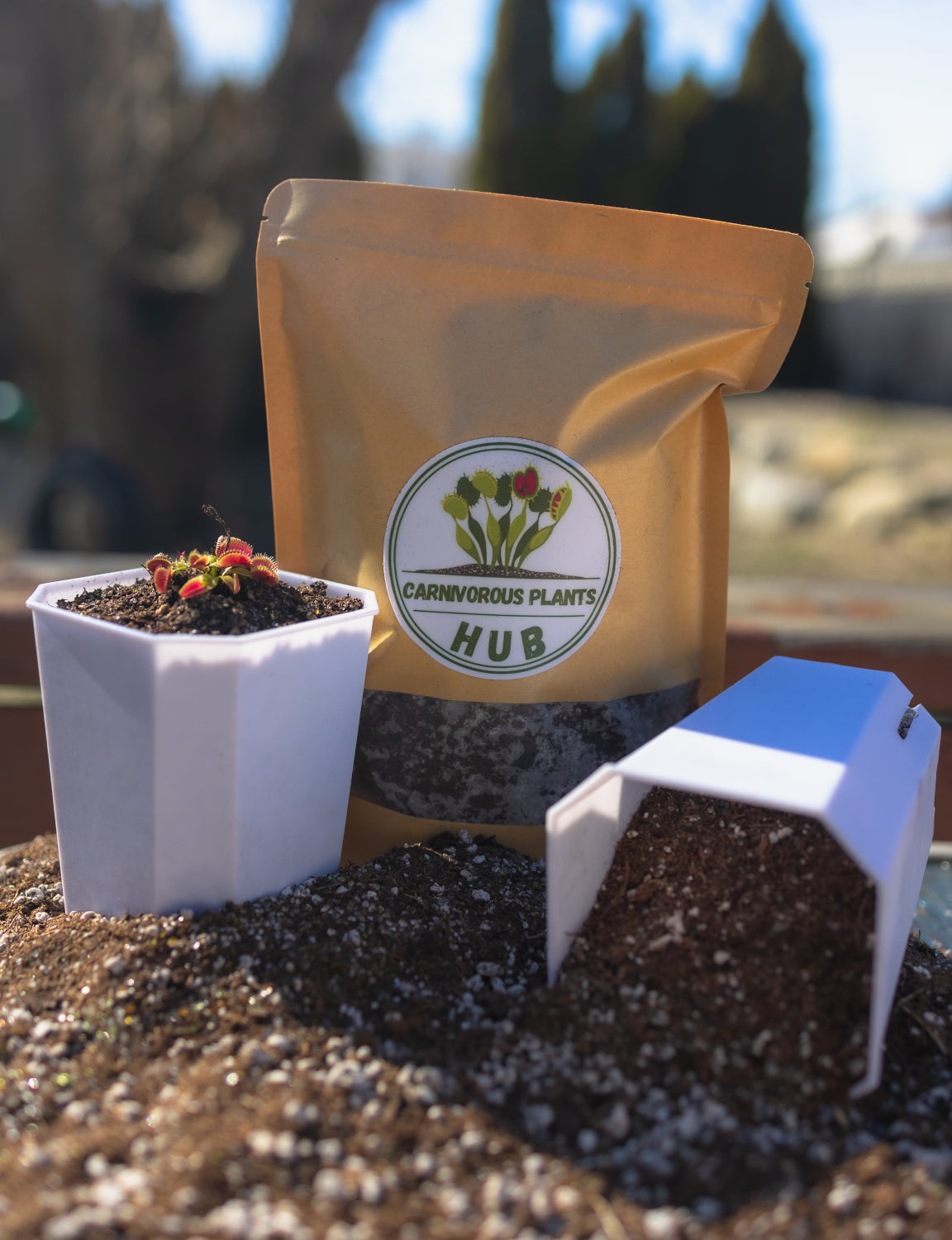 Venus Flytrap Repotting Kit - Premium Venus Flytrap Soil With Planters 3.5X3.5X4.8