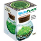WaterPlants- Grow Lush Aquatic Plants from Seed! Thrives With Minimal Care