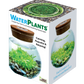 WaterPlants- Grow Lush Aquatic Plants from Seed! Thrives With Minimal Care