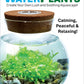WaterPlants- Grow Lush Aquatic Plants from Seed! Thrives With Minimal Care