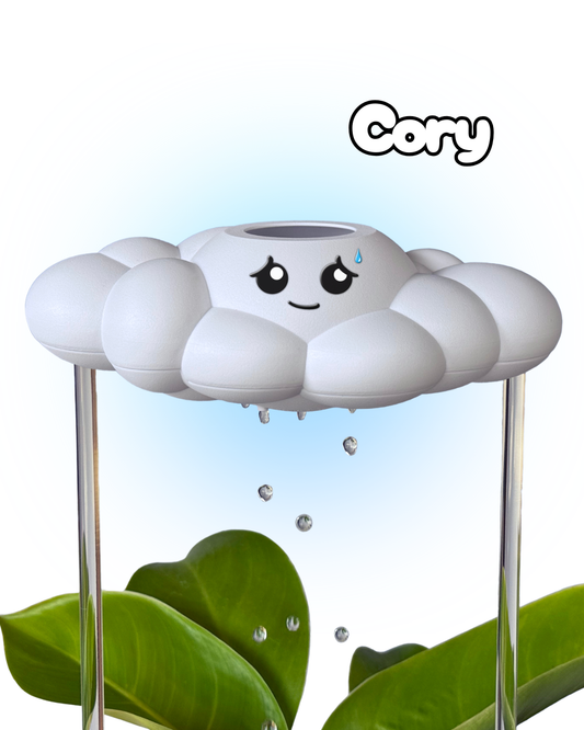 Cory the Cloud