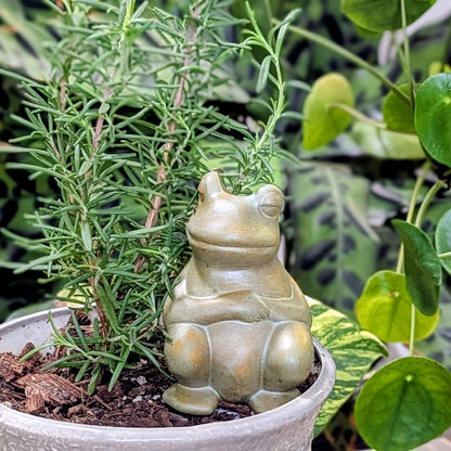 Chill Frog Watering Spike