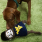 NCAA West Virginia University, Mountaineer Knottie® Plush Dog Toy