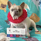 Warren London Dog Nail Polish 6 Pack Bright Colors Long Lasting Coverage