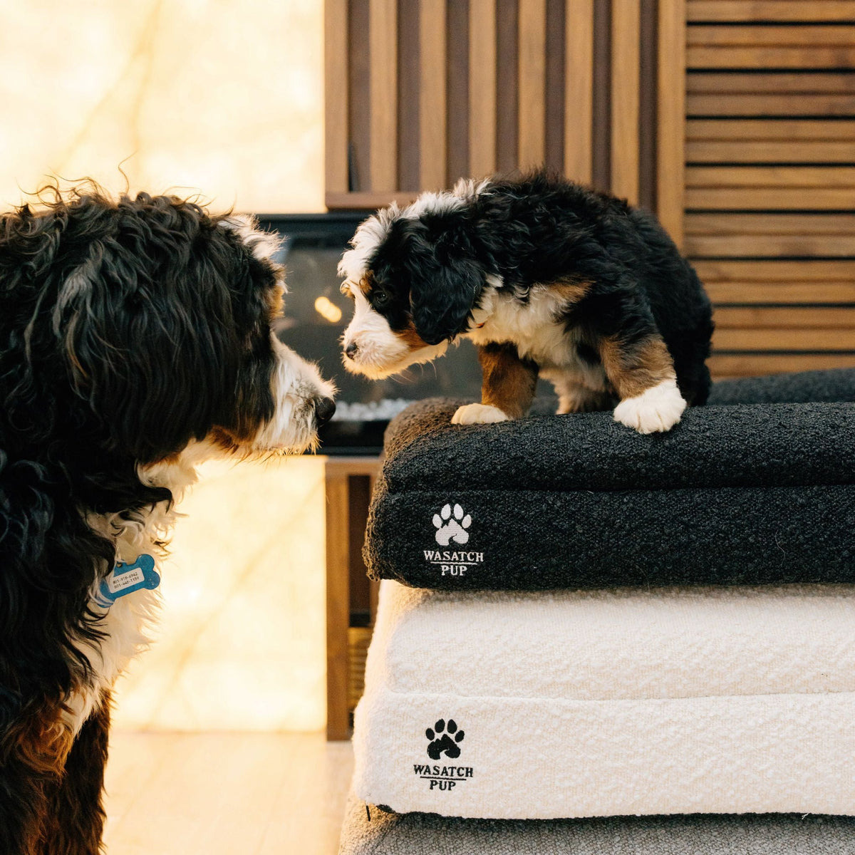 Cama Ortopédica de Lujo para Perros