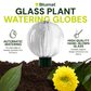 Blumat Glass Plant Self Watering Globes