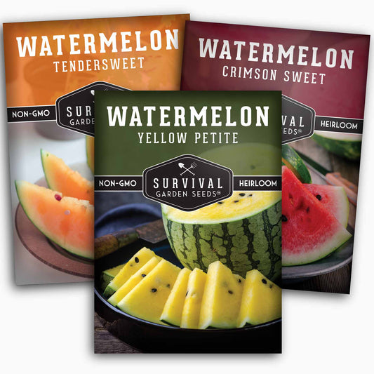 Tri-Color Watermelon Seeds – Crimson Sweet, Yellow Petite & Tendersweet Orange Heirloom Varieties for Vibrant Summer Harvests