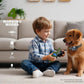 Waterproof Dog Training Collars for up to 3 Dogs 2600FT Remote IPX7 Rechargeable